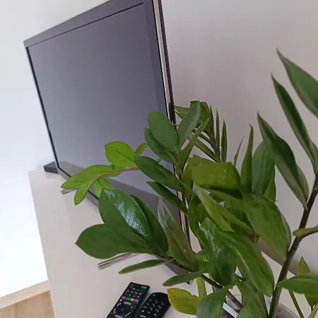 Studio 69, Gdansk - Jasien Zewnętrze zdjęcie